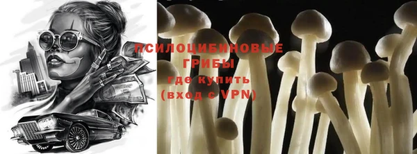 Альфа ПВП Новозыбков