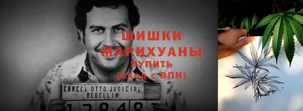 Альфа ПВП Новозыбков
