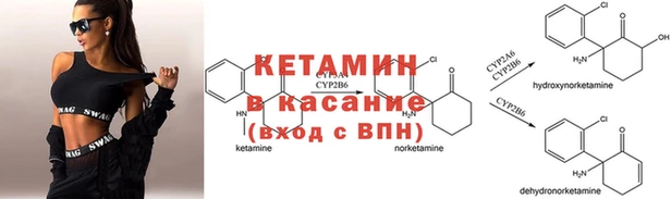 ПСИЛОЦИБИНОВЫЕ ГРИБЫ Валдай