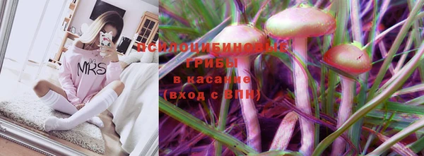 герыч Няндома