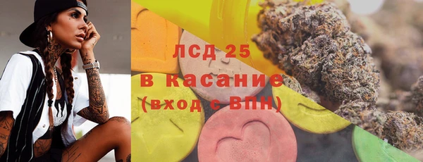 крисы Новодвинск