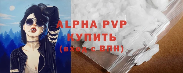 молекула духа Нягань