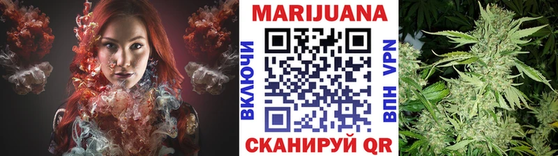 закладки  omg   Канабис планчик  Инсар 